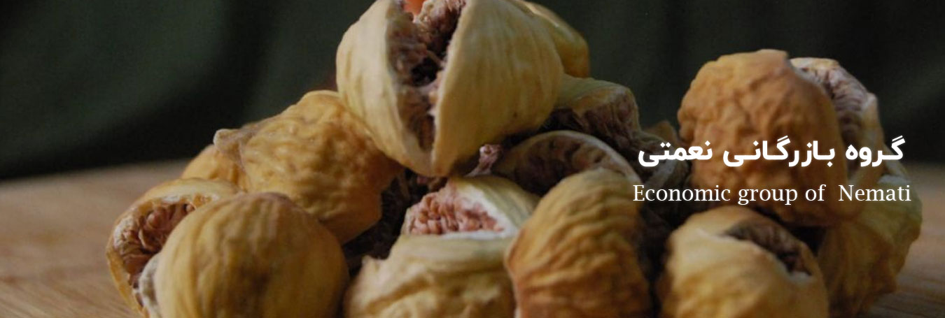 Mazdeco,گروه بازرگانی مزده,مزده